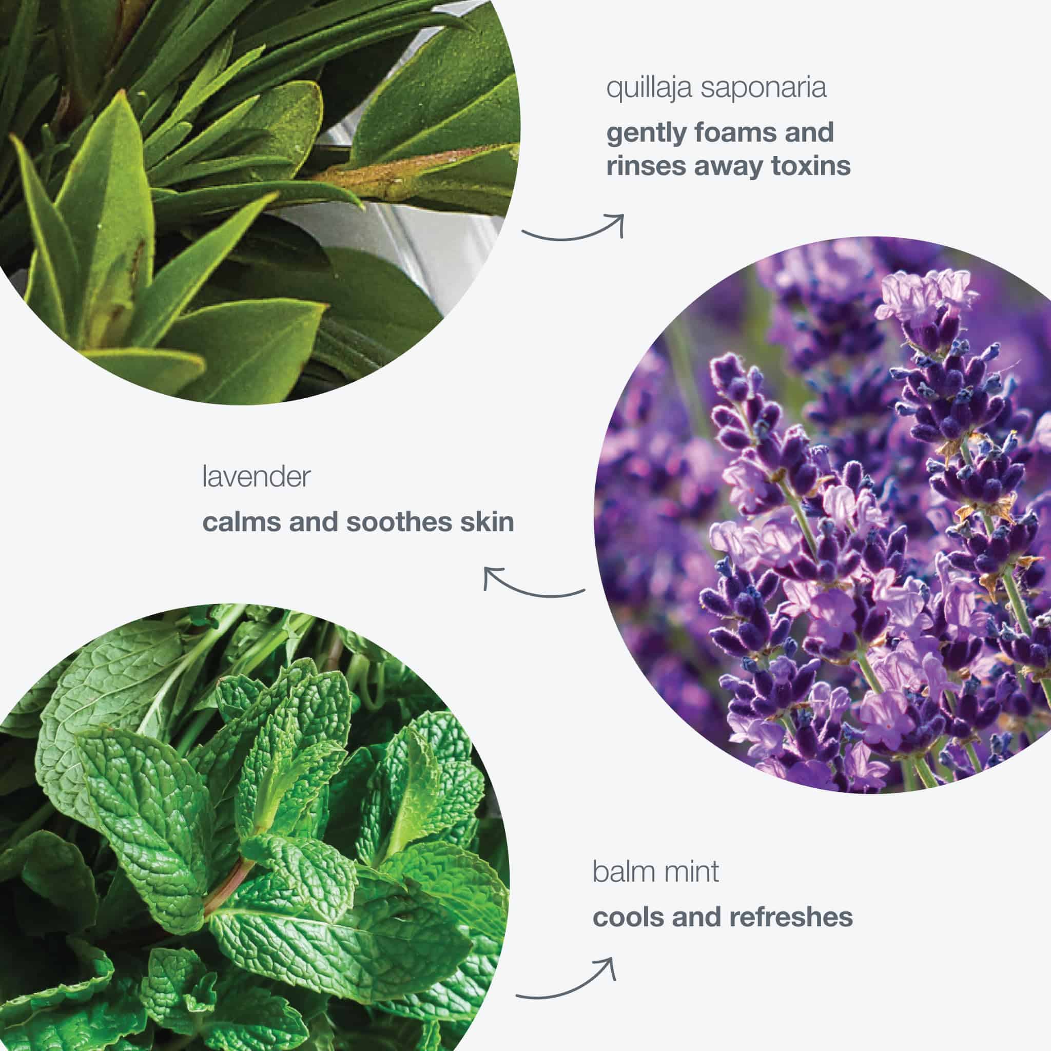 Dermalogica Special Cleansing Gel - Gel Limpiador Espumoso - Imagen 11