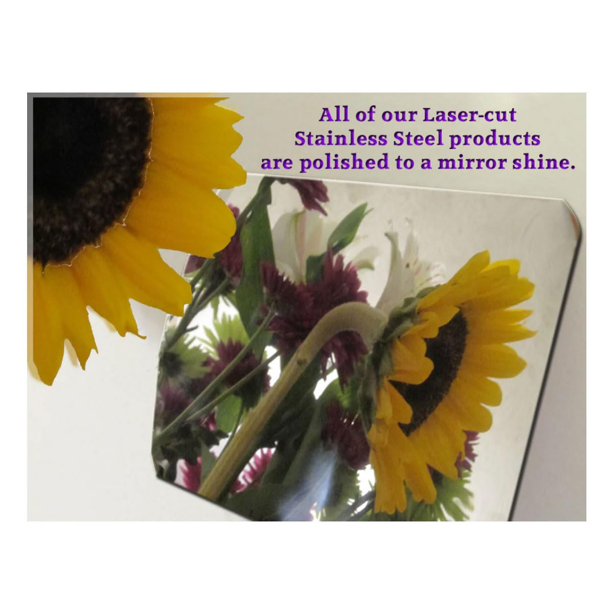 QAA es Compatible con Chevrolet Silverado 1500 1WT, 2WT, LT - Imagen 4