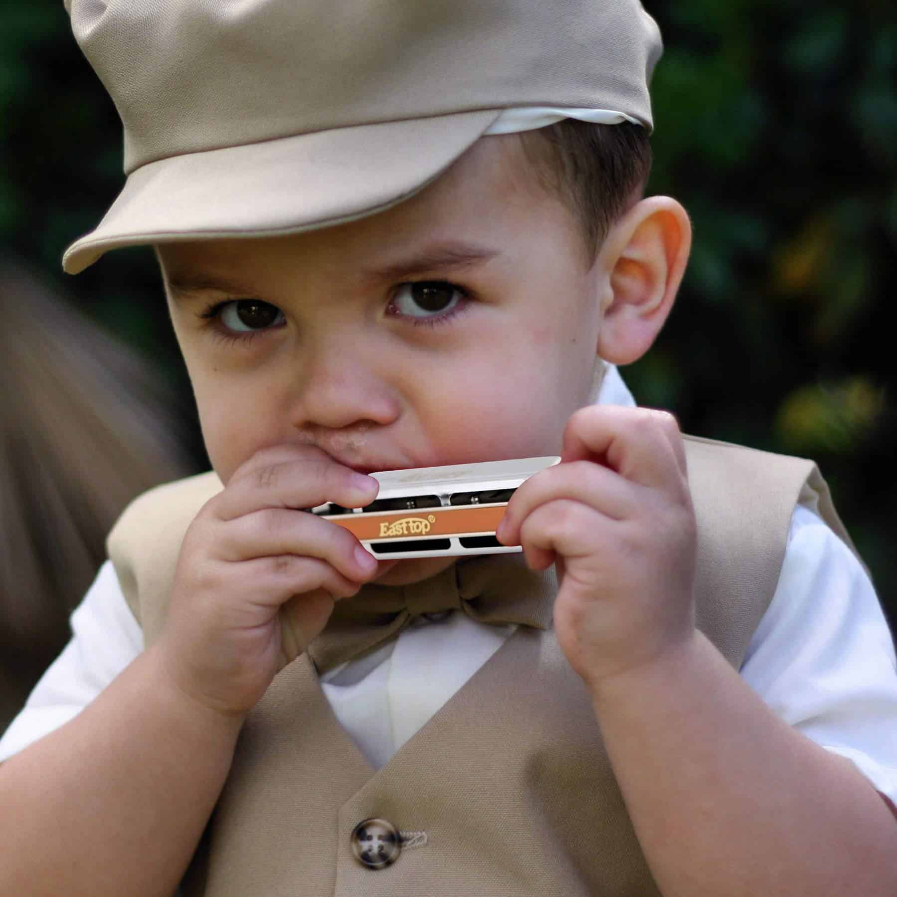 Armónica Blues Profesional Diatónica de 10 Orificios en G - Imagen 7