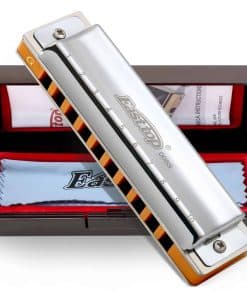 Armónica Blues Profesional Diatónica de 10 Orificios en G