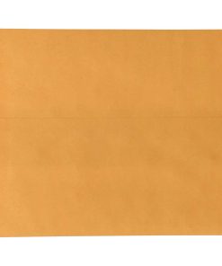 Sobres de Placa de Licencia en Blanco (Presiona y Sella)