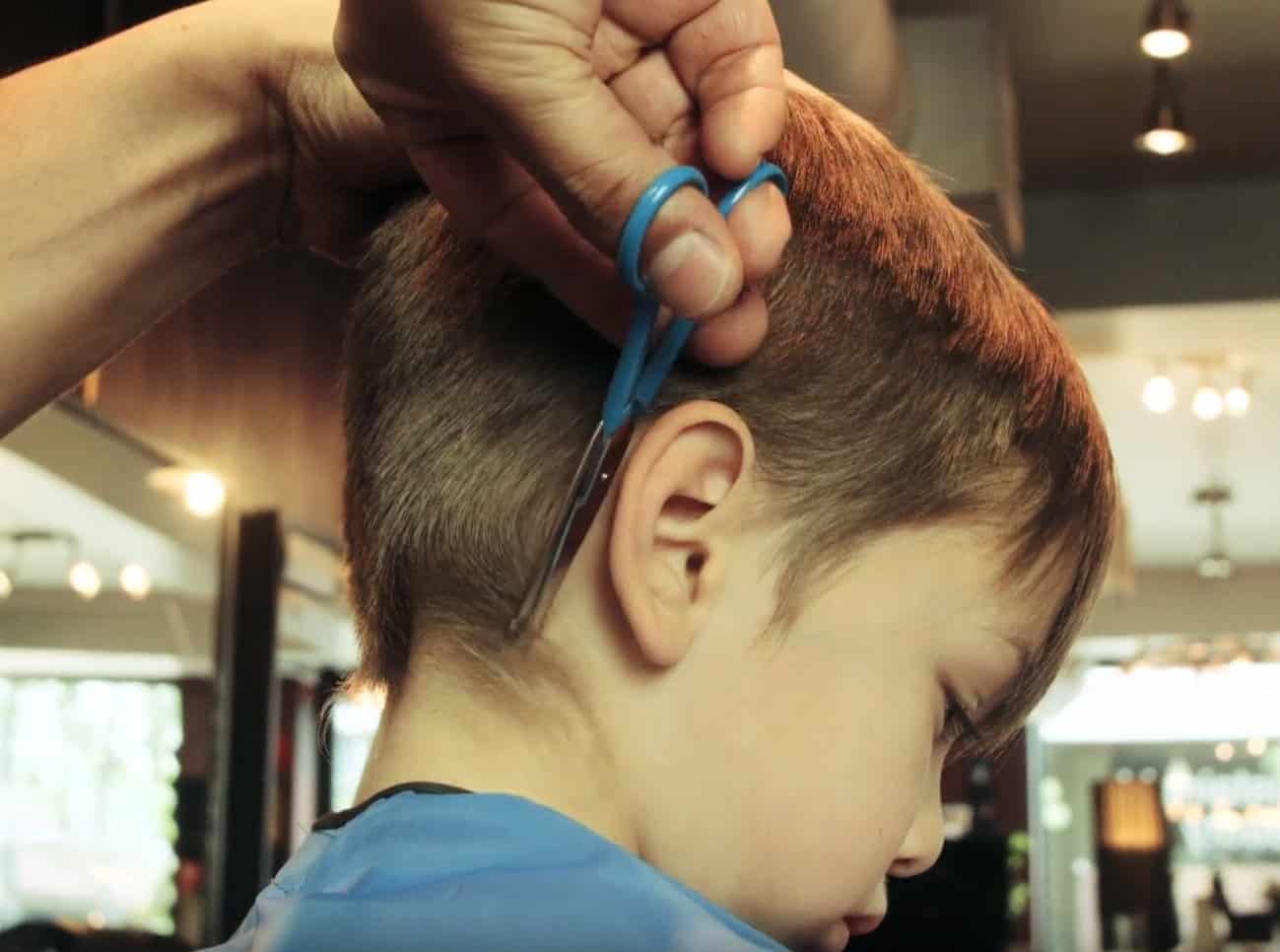 CALMING CLIPPER - El Kit de Corte de Pelo Silencioso y - Imagen 6