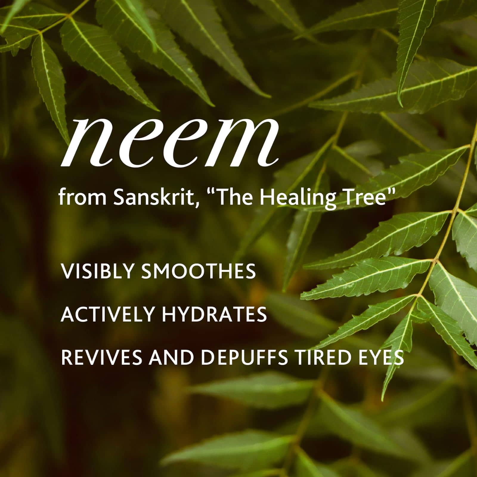 Crema para contorno de ojos SAHAJAN THE SCIENCE OF - Imagen 6