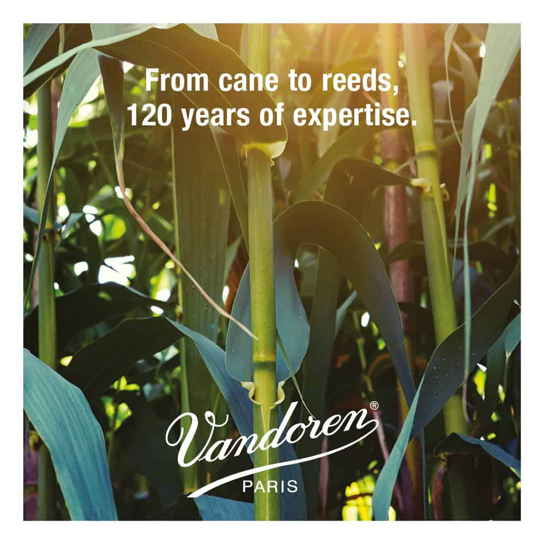 Cañas para Saxofón Tenor Vandoren JUNO, Fuerza 2.5, Caja de - Imagen 7