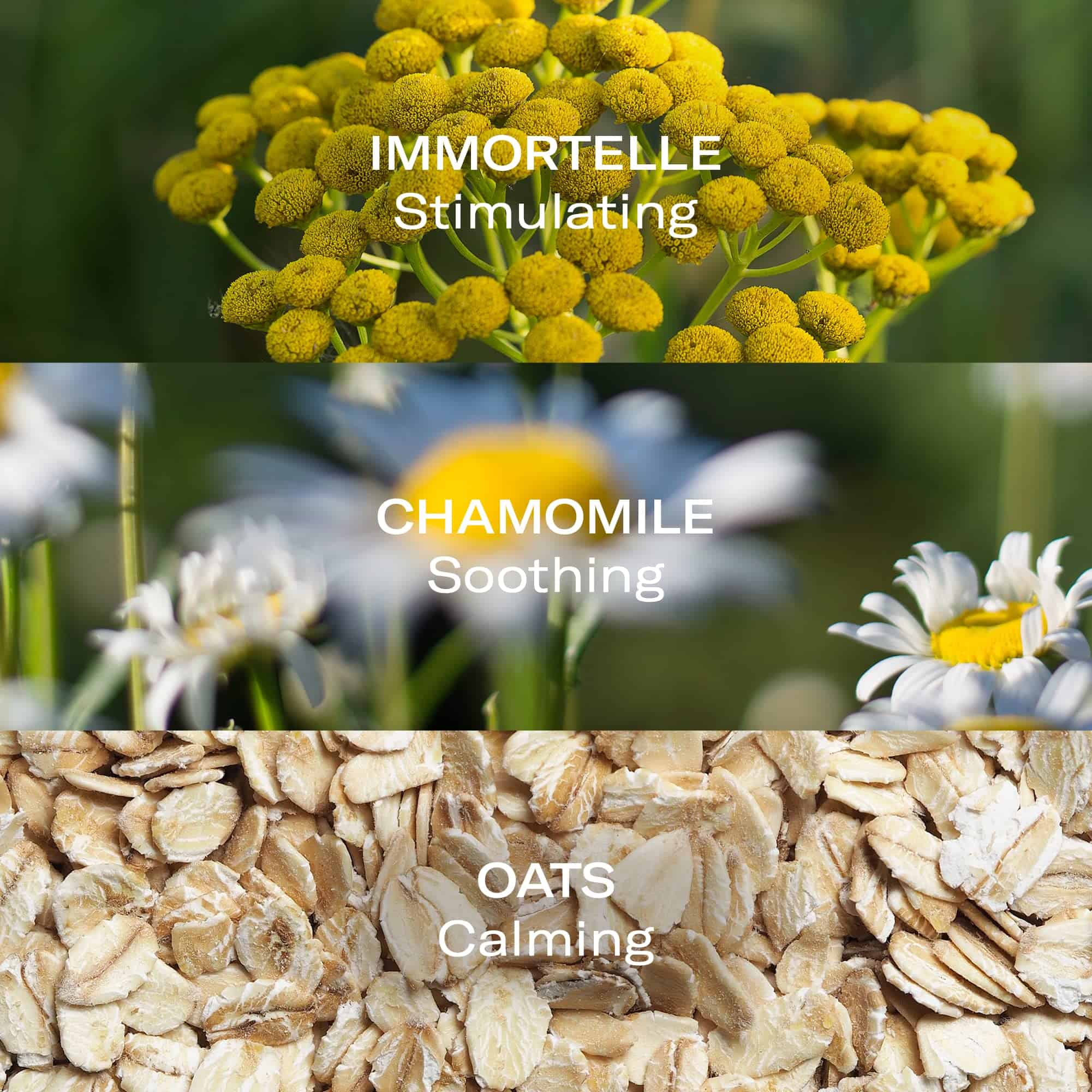 ODACITE Odacit� Face Moisturizer Spray Mist - Aloe & - Imagen 5