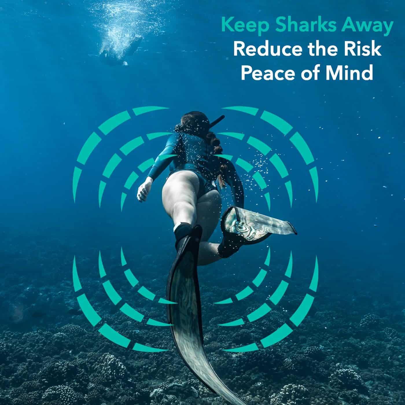 SHARKBANZ - 2 Banda magnética disuasoria de tiburones para - Imagen 4