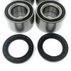 Juego de Rodamientos y Sellos para Ruedas Delanteras y