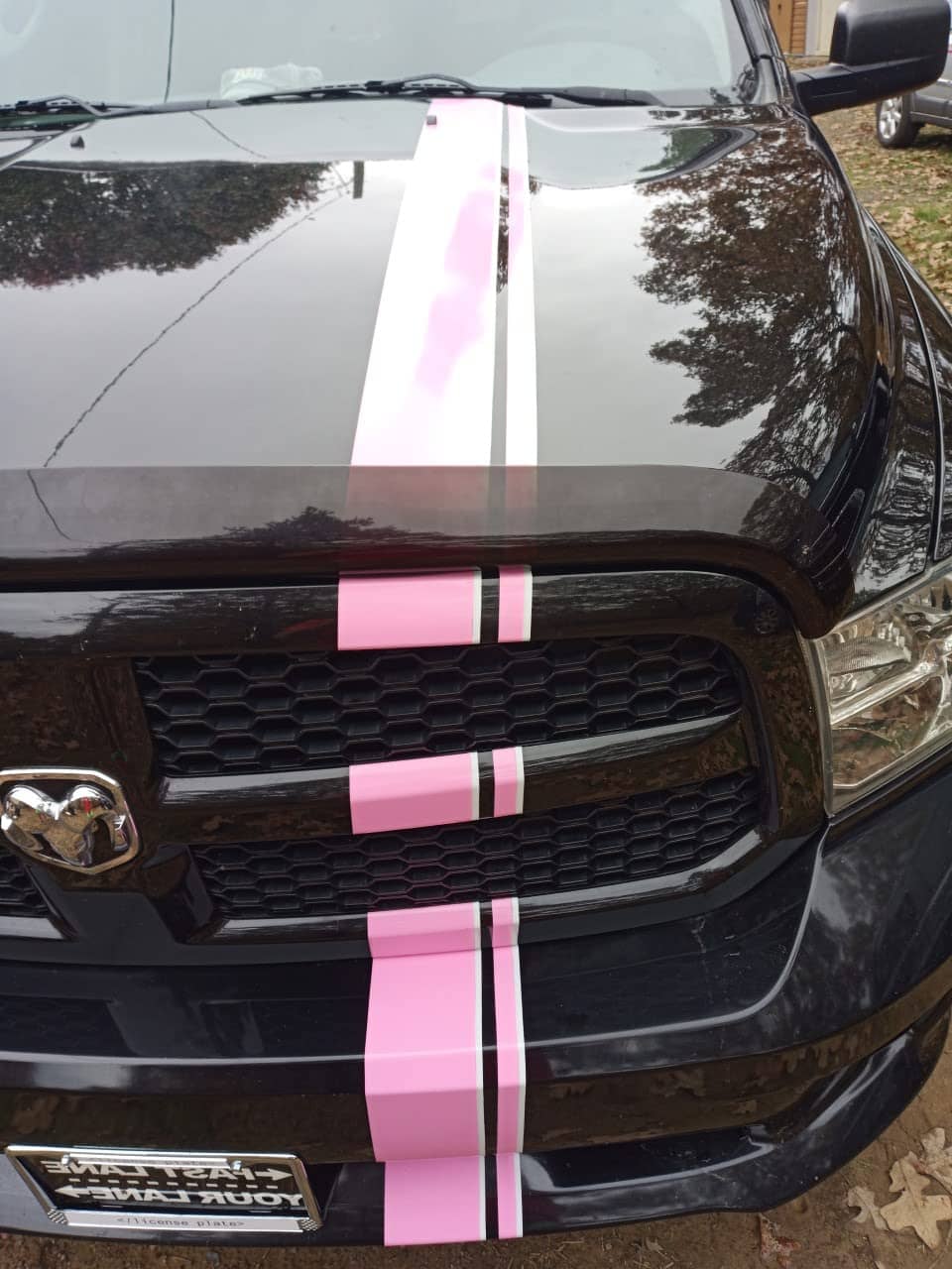 Cinta de Vinil ORACAL 651 para Franjas - Calcomanías, - Imagen 5