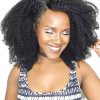 Extensiones de Cabello Afro Kinky Curly Luwigs de 12