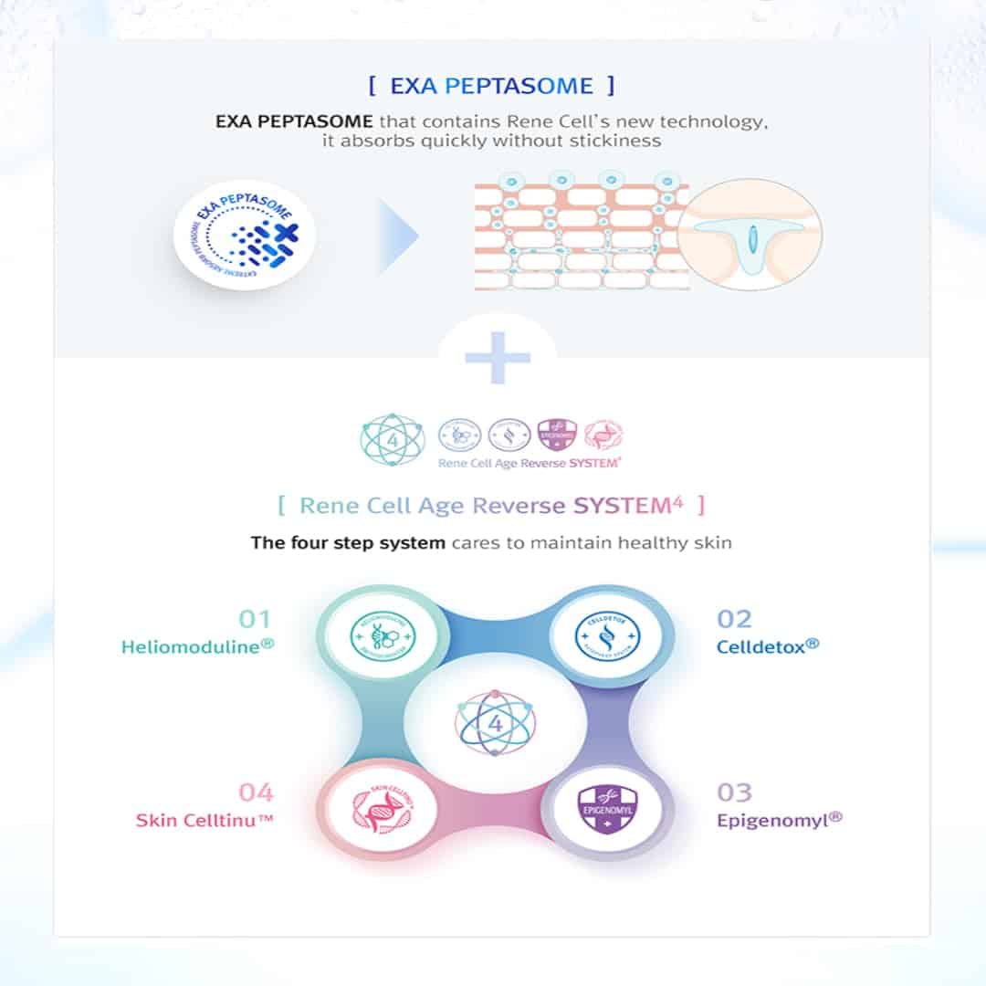 CREMA RENOVADORA DE PIEL RENECELL PLACEN SKIN SHIELD - Imagen 7