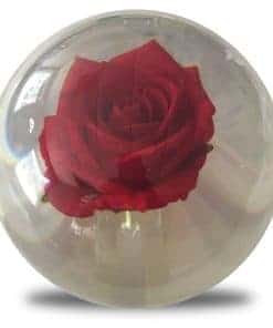 Bola de boliche KR Clear Red Rose - 14lbs