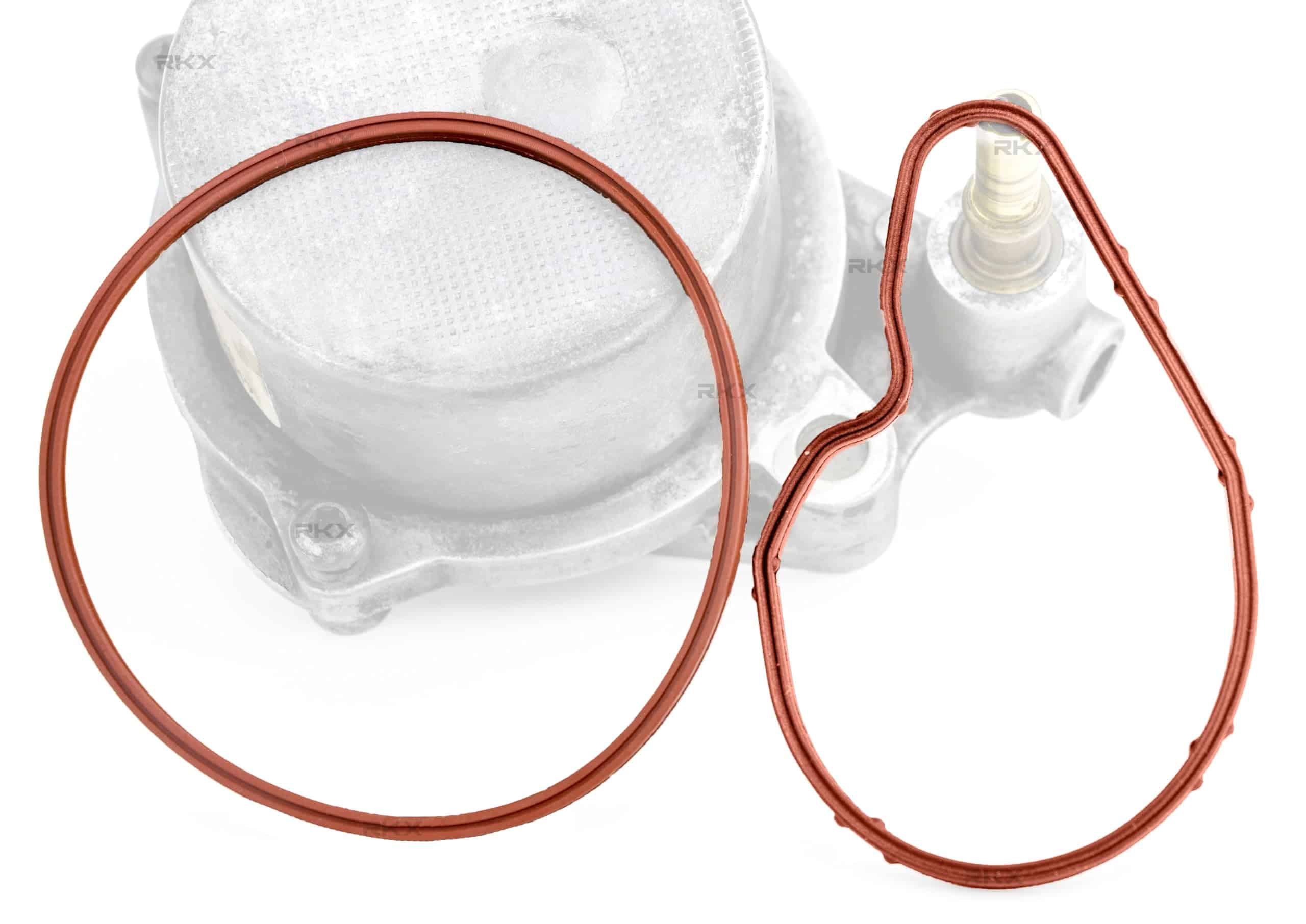 Kit de Reparación/Reconstrucción de Bomba de Vacío RKX