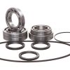 Kit de Reconstrucción de Cojinete y Sello para la Caja de