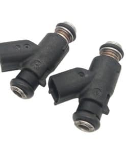 Conjunto de 2 Inyectores de Combustible 6 Orificios de