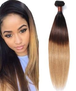 Paquete de Cabello Virgen Ombre de Arándano Brasileño -