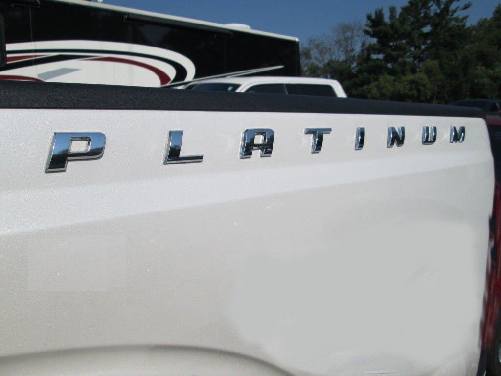 2 Paquete de Emblemas Originales de Platino Calcomanía 3D - Imagen 8