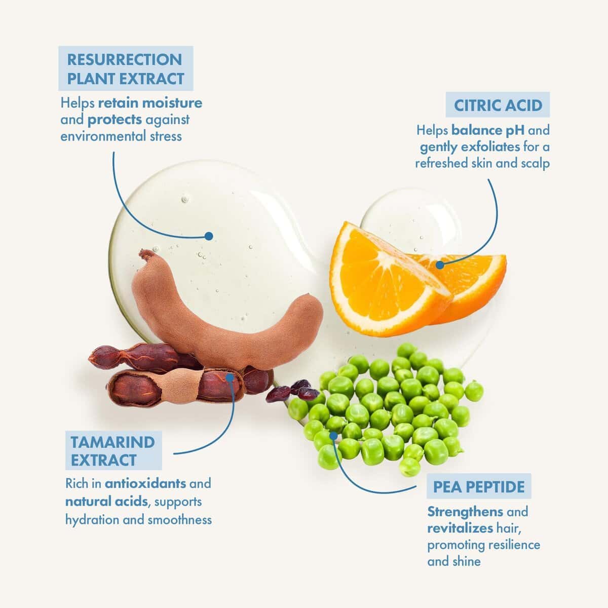 Shampoo y Acondicionador Voluminizador para Cabello Teñido, - Imagen 4