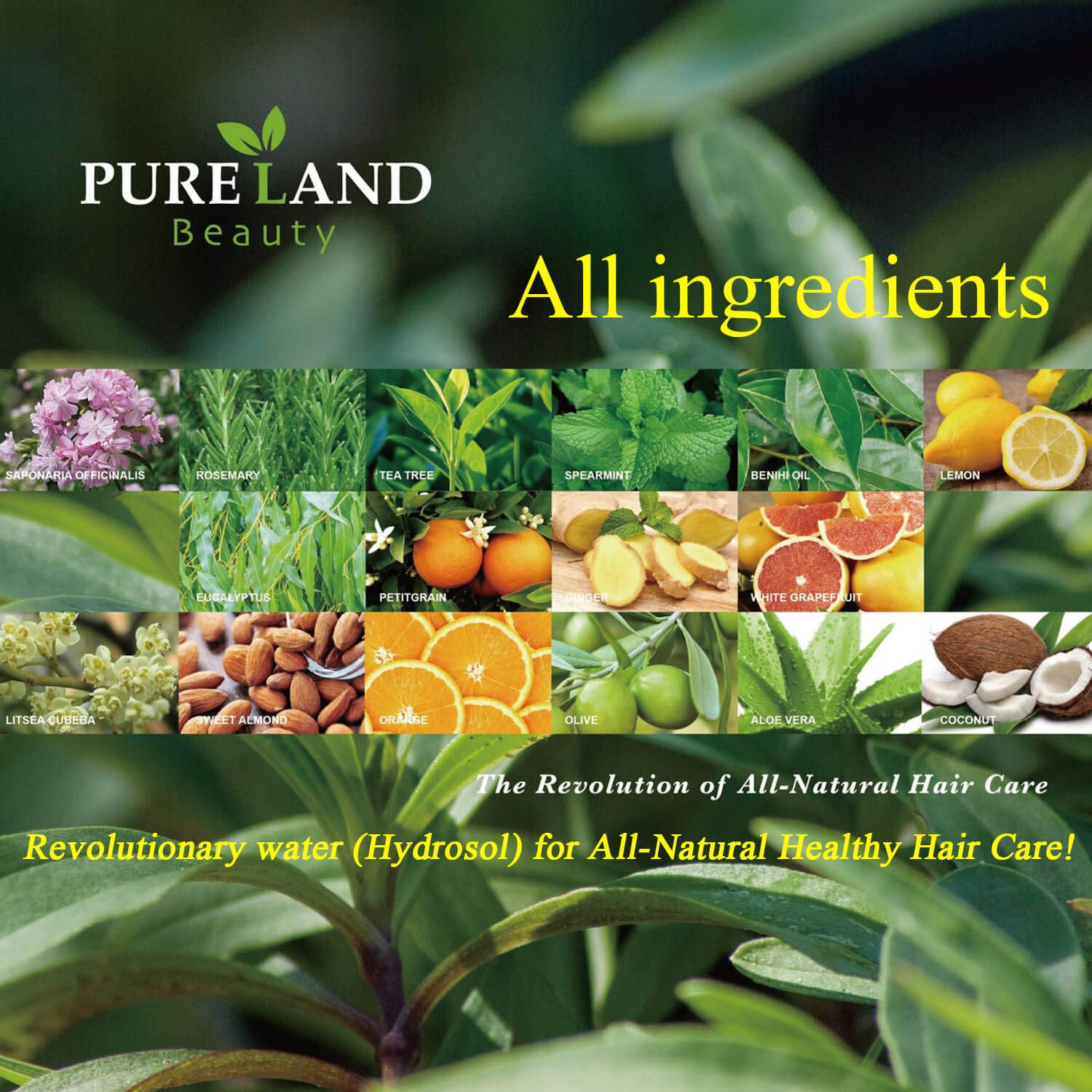 Acondicionador Diario Pureland Beauty Restore - - Imagen 8