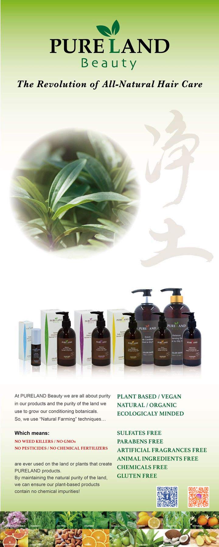 Acondicionador Diario Pureland Beauty Restore - - Imagen 10