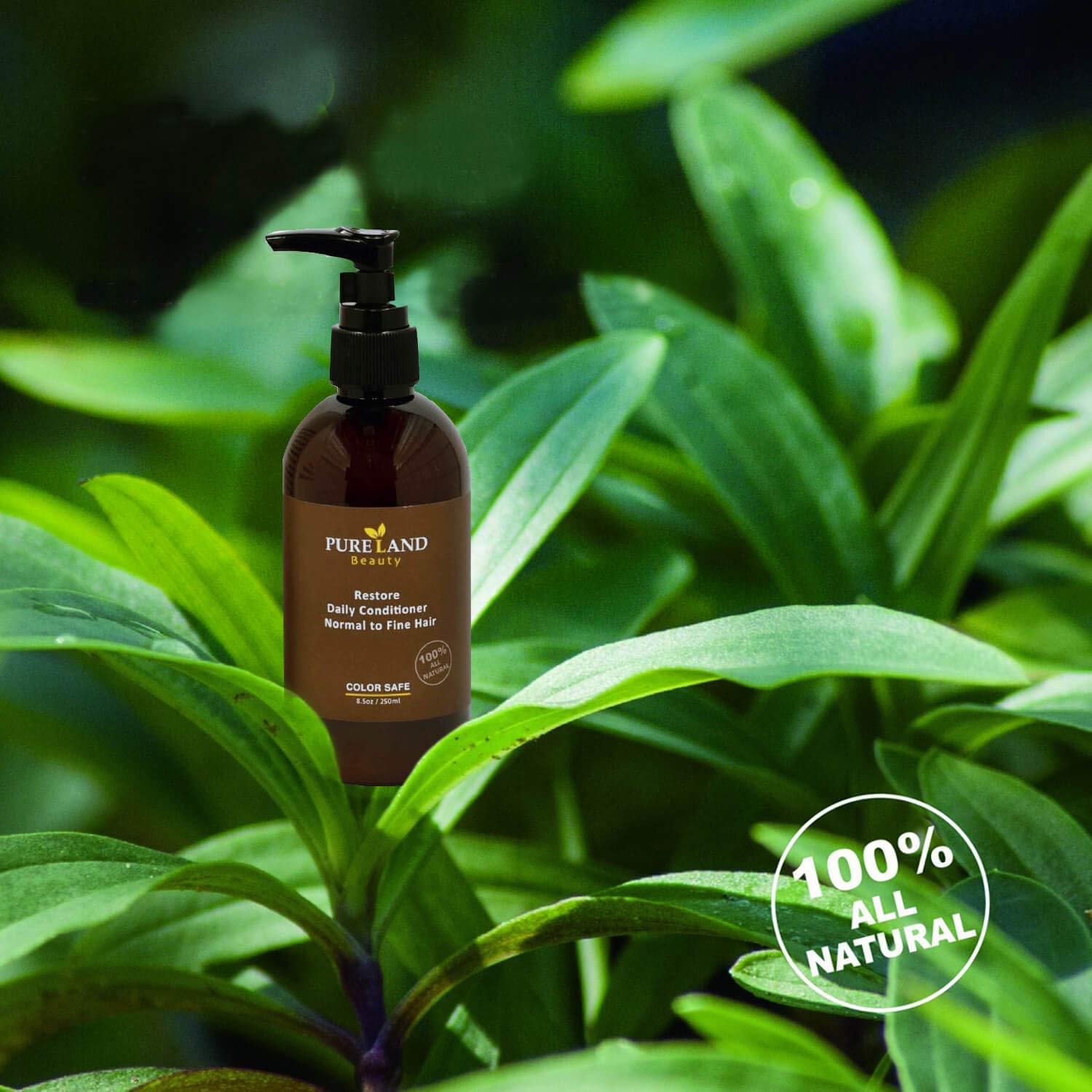 Acondicionador Diario Pureland Beauty Restore - - Imagen 7