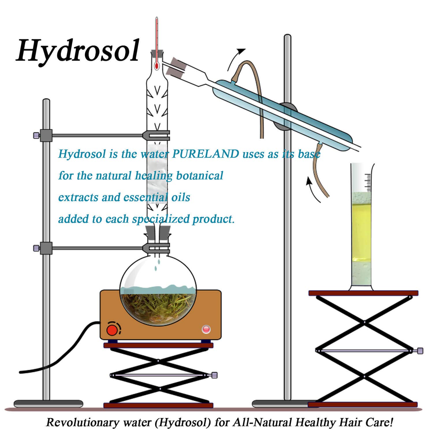 Acondicionador Diario Pureland Beauty Restore - - Imagen 9