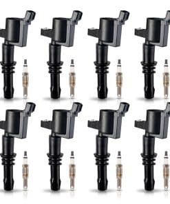 Set de Bobinas de Encendido y Bujías de Platino ENA 8