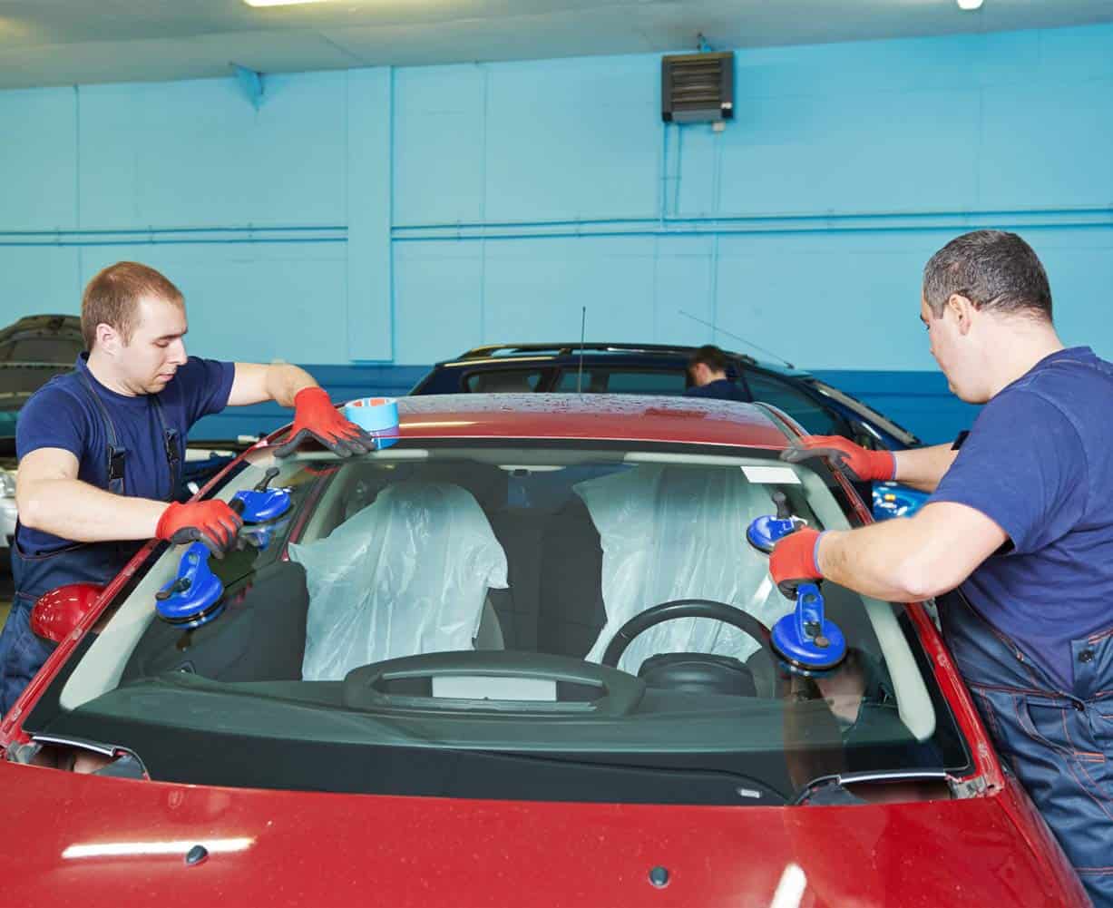 Ventosa de Vidrio IMT Doble Ventosa 2 Pack, Placa de Vacío - Imagen 7