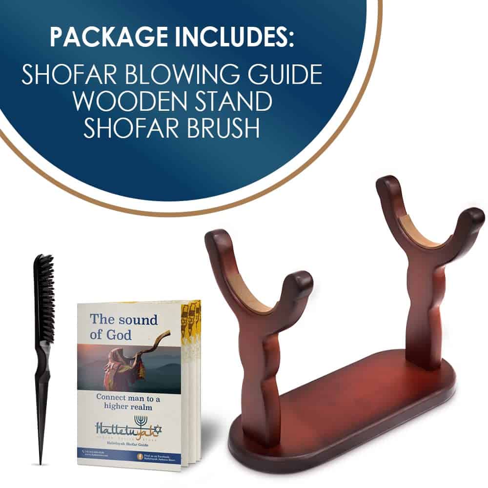 Set de Soporte para Shofar HalleluYAH - con Cepillo de - Imagen 3