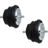 Set de Soportes de Motor Izquierdo + Derecho para BMW E39