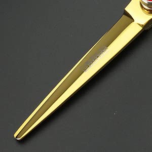 Set de tijeras de peluquería profesional de 6 pulgadas, - Imagen 6