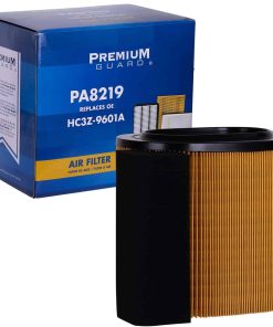 Filtro de Aire del Motor PA8219 de PG | Compatible con Ford