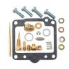 Kit de Reparación y Reconstrucción del Carburador