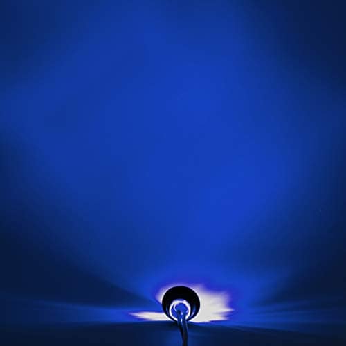 Meerkatt (Paquete de 100) 3/4 Pulgada Luz Indicadora - Imagen 9