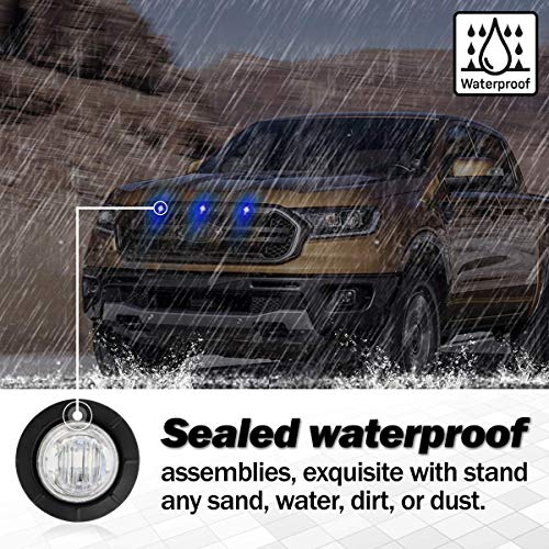 Meerkatt (Paquete de 100) 3/4 Pulgada Luz Indicadora - Imagen 6