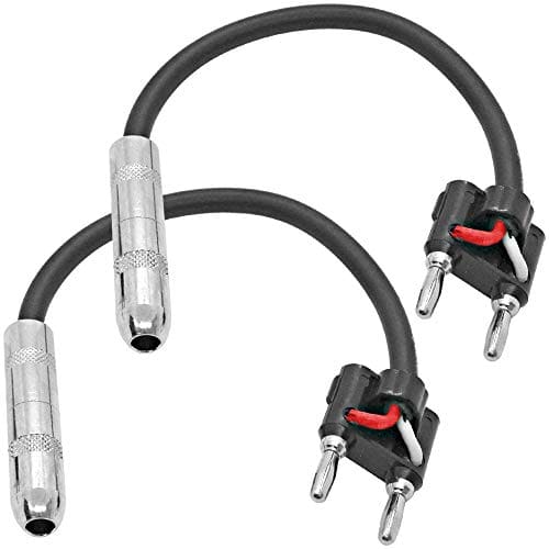 Seismic Audio - Paquete de 2 cables adaptadores de 6