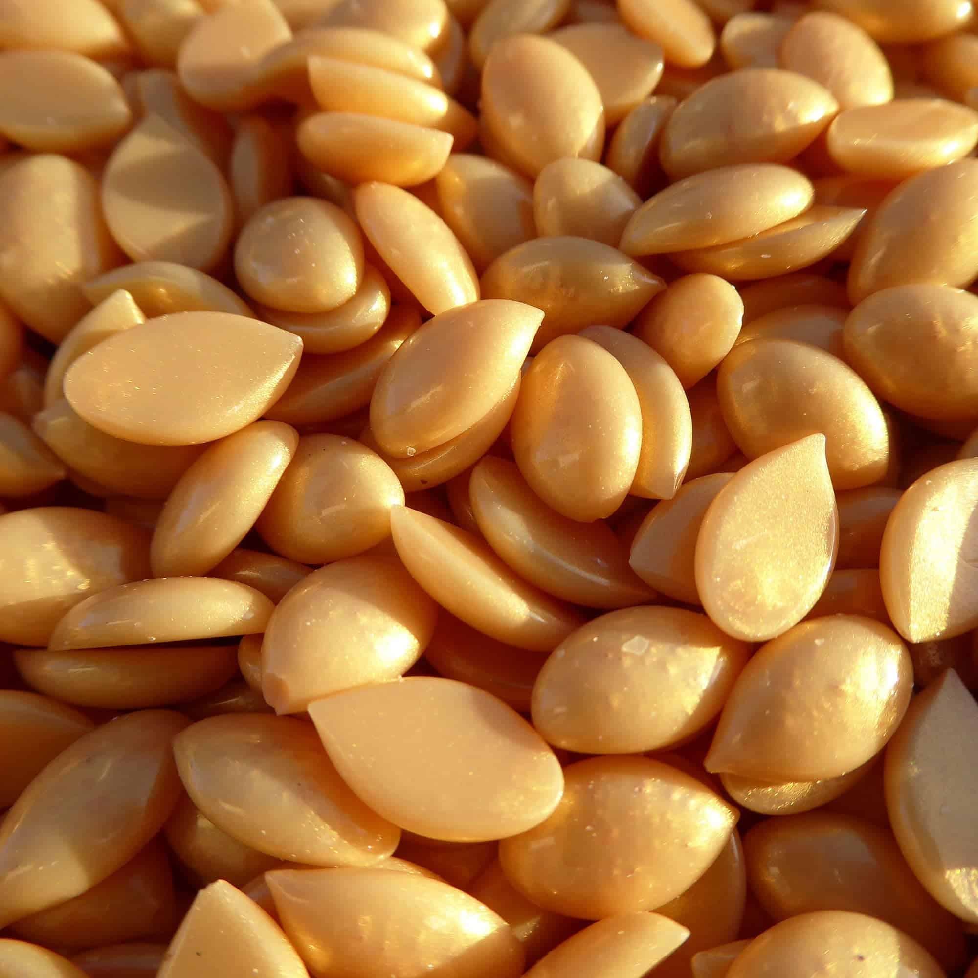 Cera Dura Premium Gold Rush sin Rosina de Waxness 1.65 lb - - Imagen 6