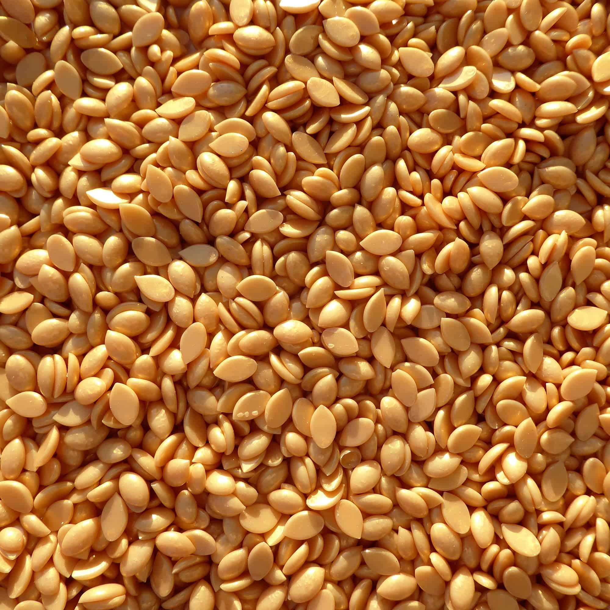 Cera Dura Premium Gold Rush sin Rosina de Waxness 1.65 lb - - Imagen 7