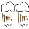 0101-254 Kit de Reconstrucción de Carburador Compatible con