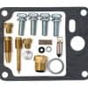 0101-039 Kit de Reparación de Carburador Compatible con