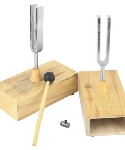 2 piezas Diapasón 440HZ Vibración con Caja de Resonancia de
