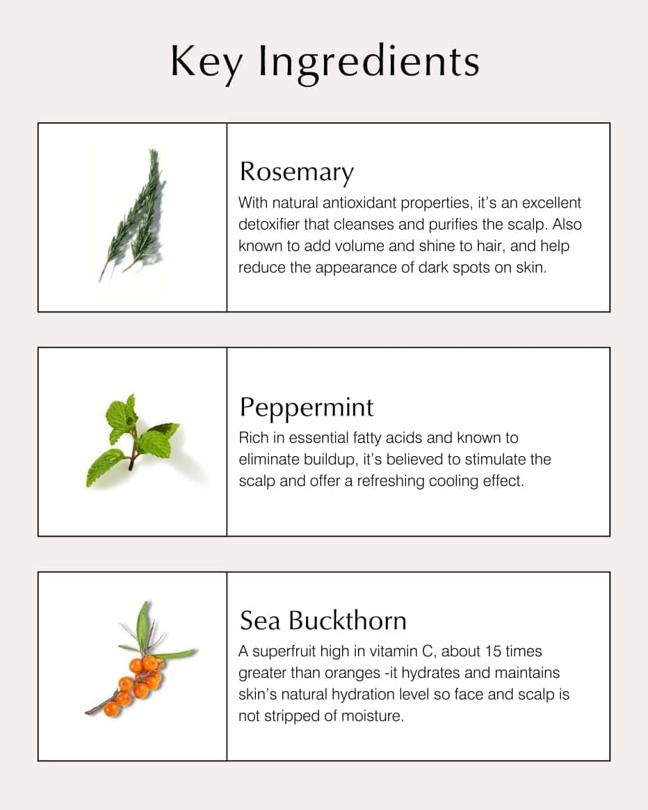 Acondicionador John Masters Organics para Cabello Fino con - Imagen 6