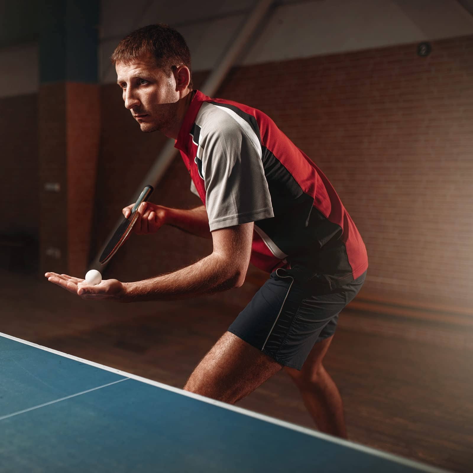 Set de raquetas de ping pong Win SPORTS con red retráctil, - Imagen 5