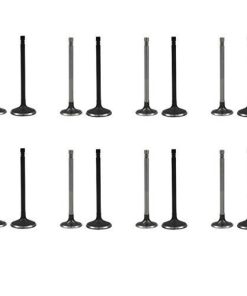 16 x Reemplazo de Válvula de Entrada y Salida de Aire del