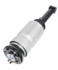 AKWH 1x Amortiguador de suspensión delantera RNB501250 de