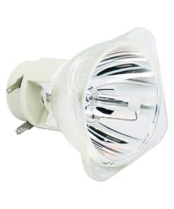 Bulbo de Luz de Cabeza Móvil BORYLI 10R 260W para