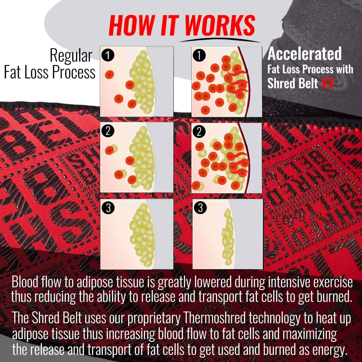 Iron Bull Strength Shred Belt V2 - Trimmer de Cintura - Imagen 3