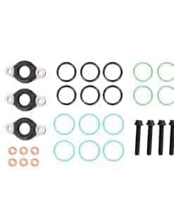 Juego de O-Ring para inyector DD15 DD13