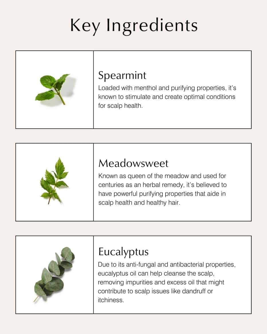 John Masters Organics Champú Estimulante para el Cuero - Imagen 6