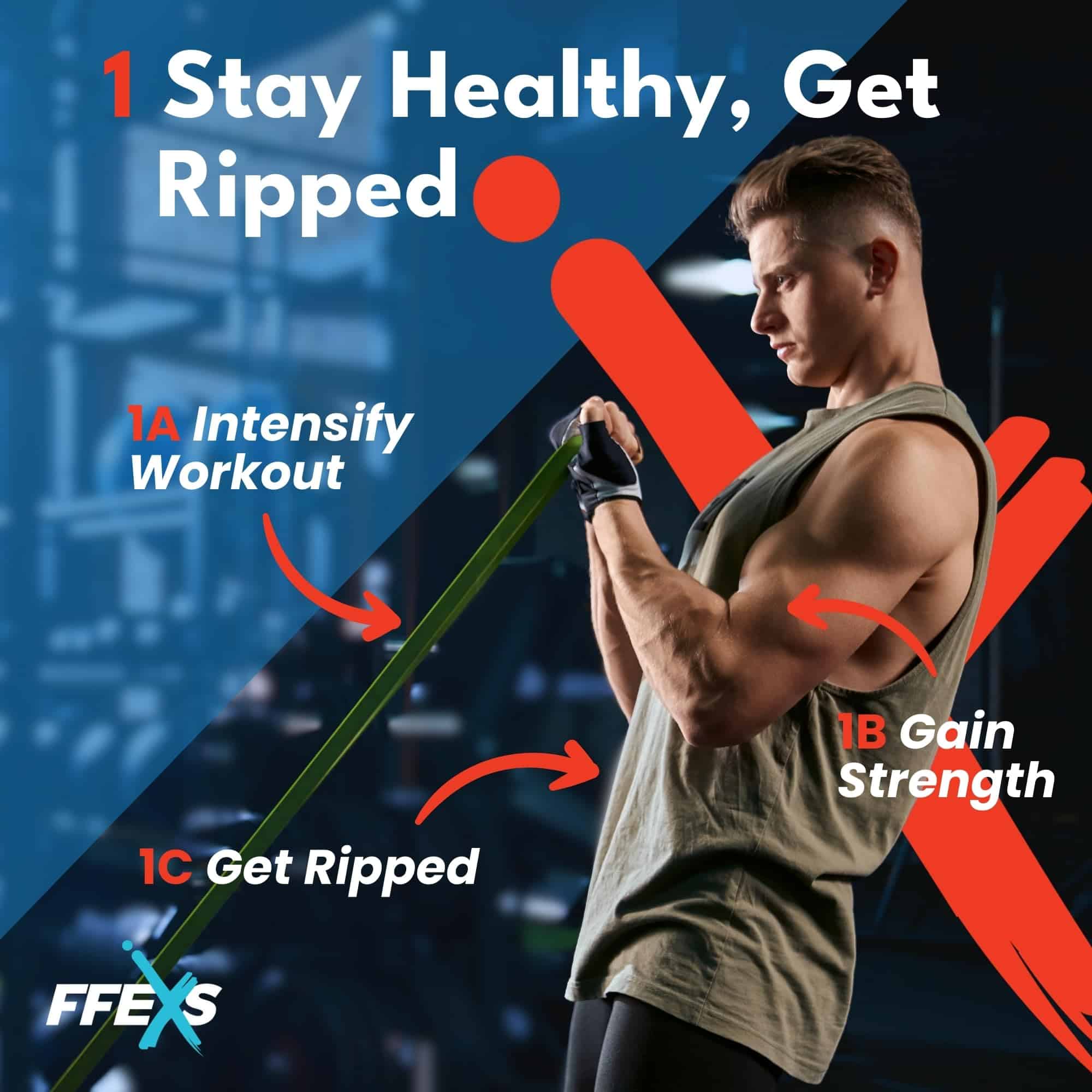 Conjunto de Bandas de Resistencia FX FFEXS - Bandas de - Imagen 3