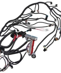 Arnes de cableado del motor WMPHE, Arnes de cableado
